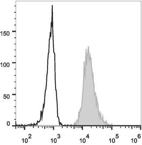 cd31 antibody