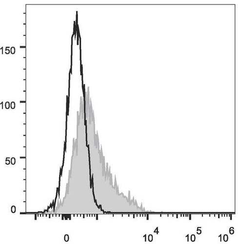 cd34 antibody