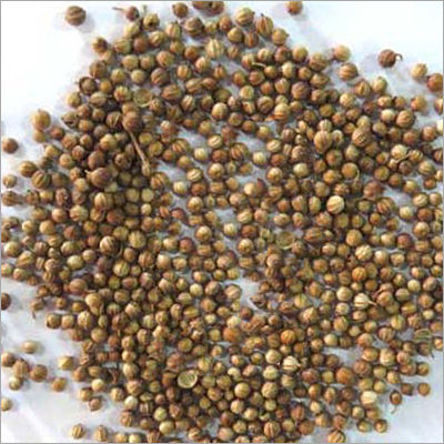 Coriander Seeds Age Group: For Adults