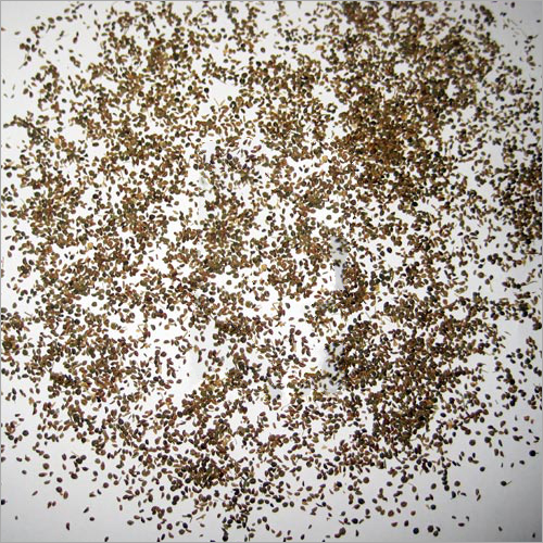 Celery Seed Age Group: For Adults