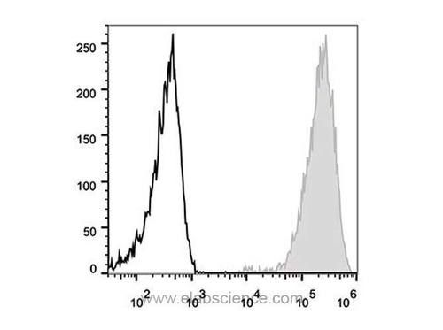 cd44 antibody