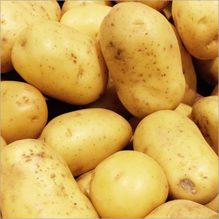 Fresh Potato