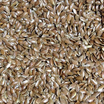 Golden Brown Lin Seeds - Flax Seeds