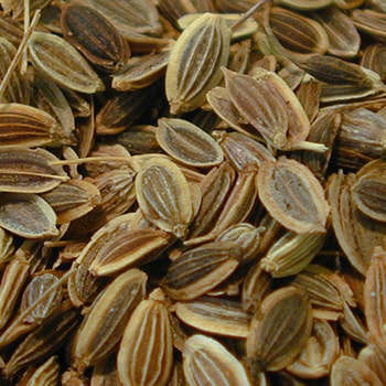 Dill Seeds Admixture (%): 1% Max.