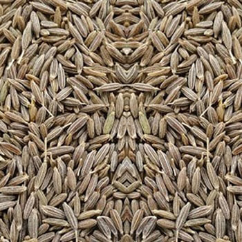 Brown Cumin Seeds