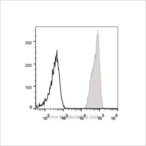 cd47 antibody