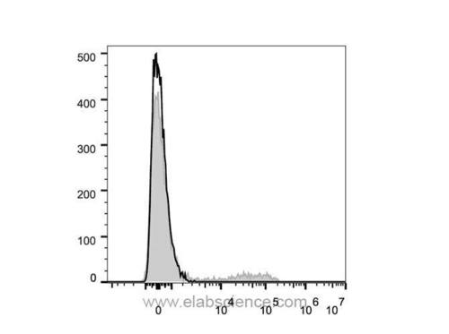 cd57 antibody