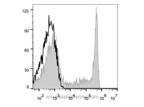 cd8a antibody