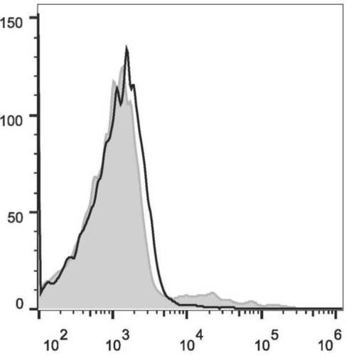 igm antibody