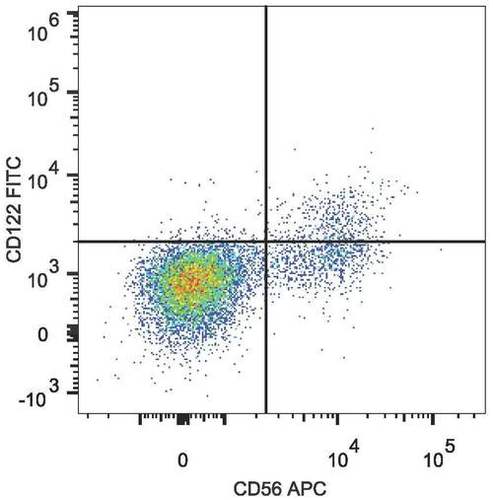 cd122 antibody