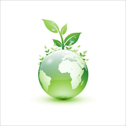 Environmental Consultant Service