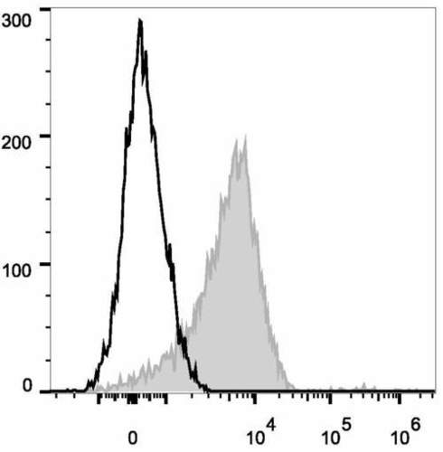 cd29 antibody