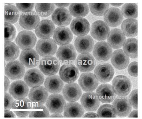 Peg Modified Upconverting Nanoparticles