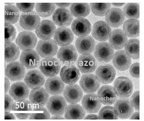 PEG Modified Upconverting Nanoparticles