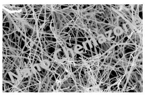 Refractories Carbon Nanofibers (Cnfs)