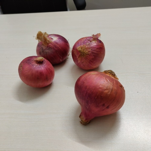 Pink Onion - Size 55 mm+, 2-3 Months Shelf Life | Nutrient-Rich, Promotes Digestive and Heart Health