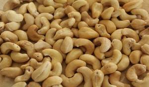 Premium Cashew Nuts
