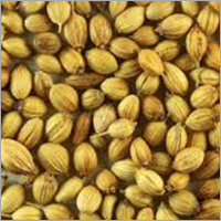 Natural Dhania Seed