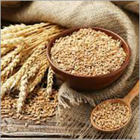 Whole Wheat
