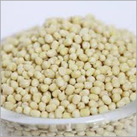 White Chickpeas - Organic Standard Grain Size , 99% Purity, Customizable Weight