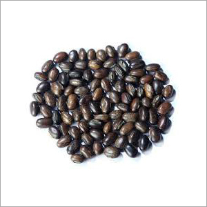 Dark Brown Mucuna Bracteata Seed