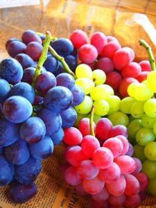 Fresh Seedless Grapes for Sale