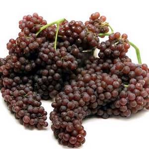 Fresh Organic Grapes