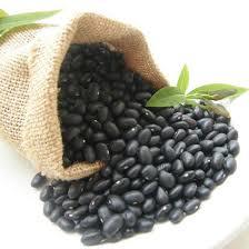 Black Kindny Beans
