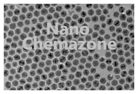 Gold Platinum Core Shell Nanoparticles