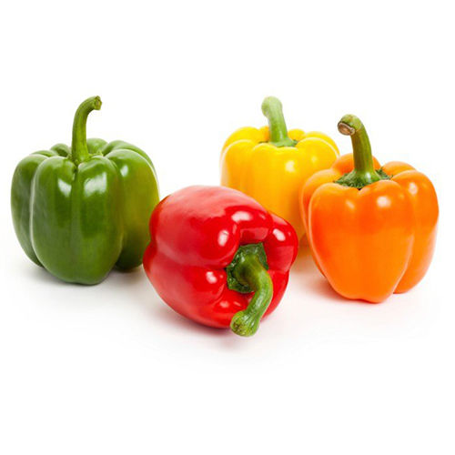 Capsicum