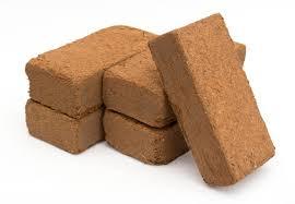 Bricks