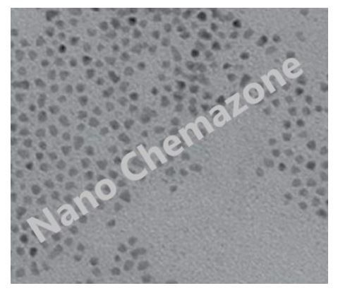 Cadmium Sulfide Nanoparticles