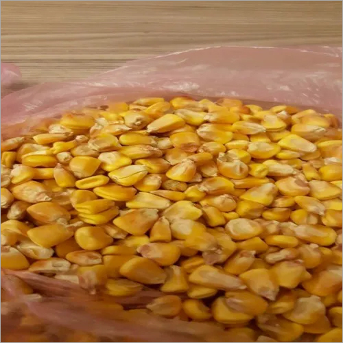 Quality Grade 1 Yellow Corn & White Corn/Maize
