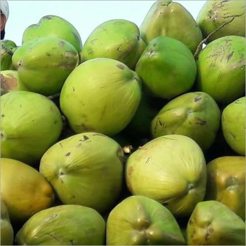 Fresh Green Coconut