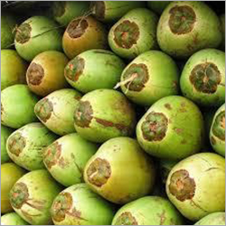 Organic Fresh Green Water Coconut