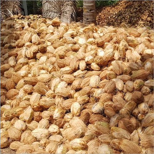 Brown Whole Husked Coconut