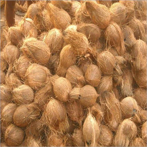 Brown Semi Husked Coconut