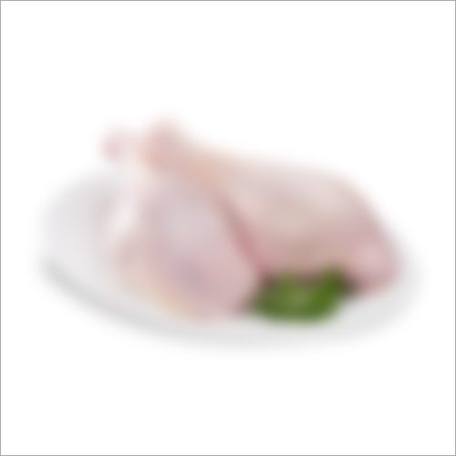 Frozen Duck Meat