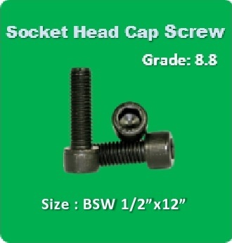 Socket Head Cap Screw BSW 1 2x12
