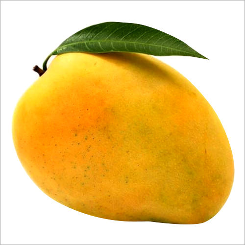 Natural Fresh Mango