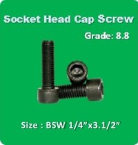 Socket Head Cap Screw BSW 1 4x3.1 2
