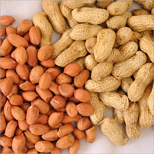 Whole Peanut