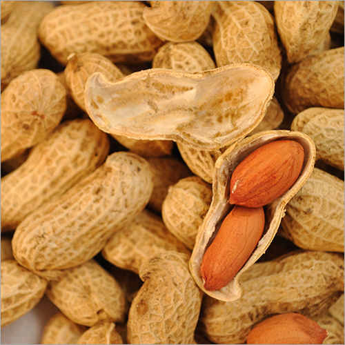 Raw Peanuts With Shell