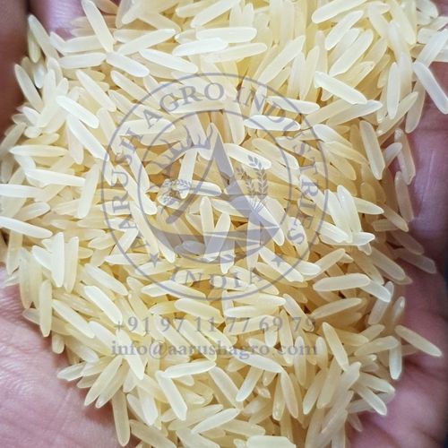 Rh 10 Golden Sella Rice