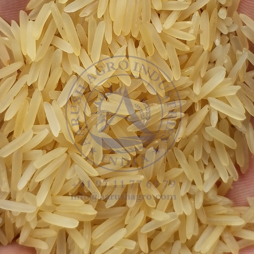 1509 Golden Sella Rice