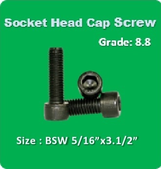 Socket Head Cap Screw BSW 5 16x3.1 2