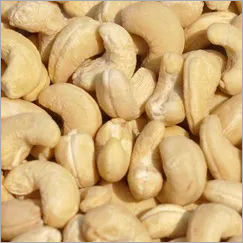 Cashew Nut