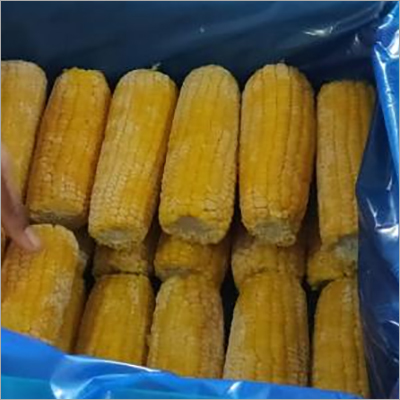 American Sweet Corn