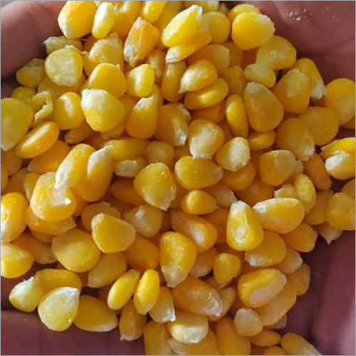 Sweet Corn