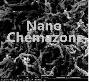Functionalized Short MWCNT-Multi Walled Carbon Nanotubes